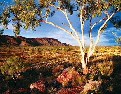Beautiful View with Sunlight — Podiatrists in Alice Springs, NT